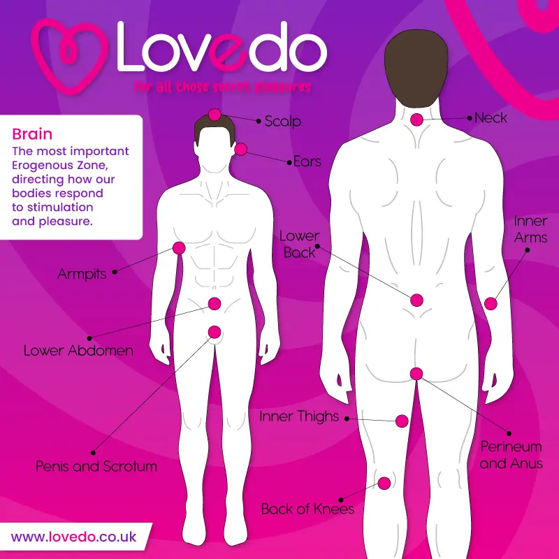 Diagram of erogenous zones in men – Lovedo