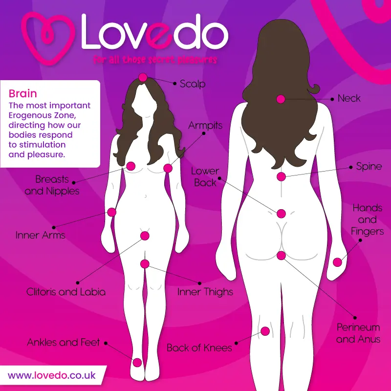 Diagram of erogenous zones in women – Lovedo