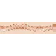 Fleshjack Boys - Joey Mills Electric Fleshjack Boys - Joey Mills Electric