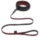 Fifty Shades of Grey Sweet Anticipation Collar & Lead Fifty Shades of Grey Sweet Anticipation Collar & Lead