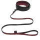 Fifty Shades of Grey Sweet Anticipation Collar & Lead Fifty Shades of Grey Sweet Anticipation Collar & Lead