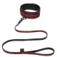 Fifty Shades of Grey Sweet Anticipation Collar & Lead Fifty Shades of Grey Sweet Anticipation Collar & Lead