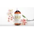 Orgie Noriplay Body to Body Massage Gel - Ultra Slide