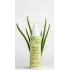Orgie Bio - Aloe Vera Organic Intimate Gel