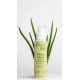 Orgie Bio - Aloe Vera Organic Intimate Gel Orgie Bio - Aloe Vera Organic Intimate Gel