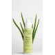 Orgie Bio - Aloe Vera Organic Intimate Gel Orgie Bio - Aloe Vera Organic Intimate Gel