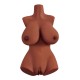 Pipedream - PDX Plus - Perfect 10 Torso - Brown Pipedream - PDX Plus - Perfect 10 Torso - Brown