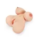 Pipedream - PDX Plus - Big Titty Torso - Light Pipedream - PDX Plus - Big Titty Torso - Light