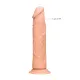 Real Rock - Dong Without Testicles 8 inches - Flesh Real Rock - Dong Without Testicles 8 inches - Flesh