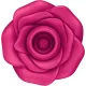 Satisfyer Pro 2 - Classic Blossom Rose