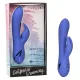 California Dreaming Beverly Hills Bunny California Dreaming Beverly Hills Bunny