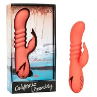 California Dreaming Orange County Cutie California Dreaming Orange County Cutie