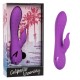 California Dreaming Valley Vamp California Dreaming Valley Vamp