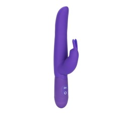 Bounding Bunny - Purple Bounding Bunny - Purple