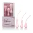 Inspire Weighted Silicone Kegel Training Kit - Pink