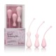 Inspire Weighted Silicone Kegel Training Kit - Pink Inspire Weighted Silicone Kegel Training Kit - Pink