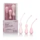 Inspire Weighted Silicone Kegel Training Kit - Pink Inspire Weighted Silicone Kegel Training Kit - Pink