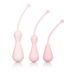Inspire Weighted Silicone Kegel Training Kit - Pink Inspire Weighted Silicone Kegel Training Kit - Pink