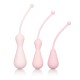 Inspire Weighted Silicone Kegel Training Kit - Pink Inspire Weighted Silicone Kegel Training Kit - Pink