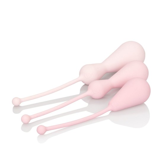 Inspire Weighted Silicone Kegel Training Kit - Pink Inspire Weighted Silicone Kegel Training Kit - Pink