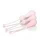 Inspire Weighted Silicone Kegel Training Kit - Pink Inspire Weighted Silicone Kegel Training Kit - Pink