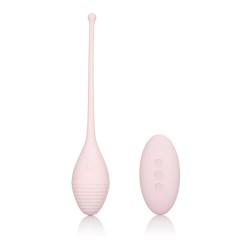 Inspire Vibrating Remote Kegel Exerciser Inspire Vibrating Remote Kegel Exerciser