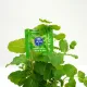 Skins Condoms Mint 4 Pack Skins Condoms Mint 4 Pack