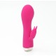 Skins Minis - The Bijou Bunny Skins Minis - The Bijou Bunny