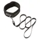 SEI MIO - Take the Lead - Padded Neck Collar and Leash SEI MIO - Take the Lead - Padded Neck Collar and Leash
