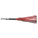 Saffron Flogger Saffron Flogger