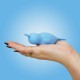 Unihorn of the Sea – Neigh Mo – The Narwhal Unihorn of the Sea – Neigh Mo – The Narwhal
