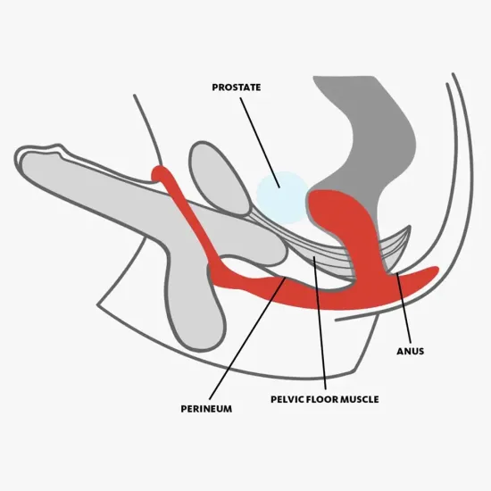 Fun Factory Bootie Ring - Slate