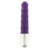 Discretion Ribbed Mini Vibrator Discretion Ribbed Mini Vibrator