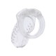 Hidden Desire Extreme Chastity Cock Cage Hidden Desire Extreme Chastity Cock Cage