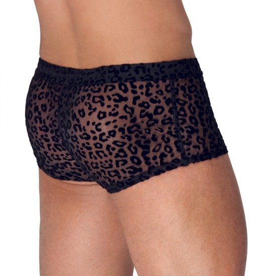 Noir Sheer Animal Print Pants Noir Sheer Animal Print Pants