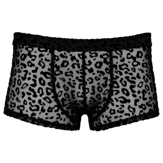 Noir Sheer Animal Print Pants Noir Sheer Animal Print Pants