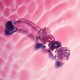 Glaze Glass Rosebud GSpot Dildo Glaze Glass Rosebud GSpot Dildo