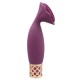 Pillow Talk Secrets Passion Mini Massager Pillow Talk Secrets Passion Mini Massager