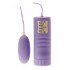 Aqua Silk Vibrating Bullet