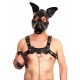 The Red Leather Puppy Dog Mask The Red Leather Puppy Dog Mask