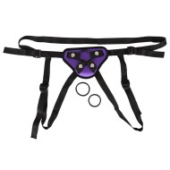 Purple And Black Universal Harness Strap On Purple And Black Universal Harness Strap On
