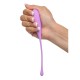 Fantasy For Her Kegel TrainHer Set Fantasy For Her Kegel TrainHer Set