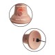 King Cock Elite 6 Inch Dual Density Vibrating Cock Flesh Pink King Cock Elite 6 Inch Dual Density Vibrating Cock Flesh Pink