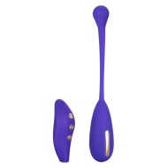 Impulse Intimate Estim Remote Kegel Exerciser Impulse Intimate Estim Remote Kegel Exerciser