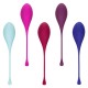 Tighten And Tone Kegel Training 5 Piece Set Tighten And Tone Kegel Training 5 Piece Set