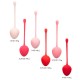 Kegel Training Set Strawberry Kegel Training Set Strawberry