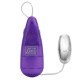 Her Kegel Kit Her Kegel Kit