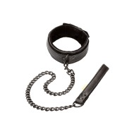 Boundless Collar and Leash Boundless Collar and Leash