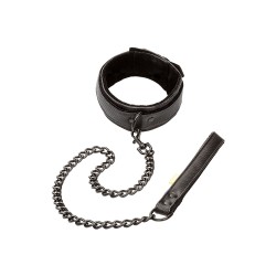 Boundless Collar and Leash Boundless Collar and Leash