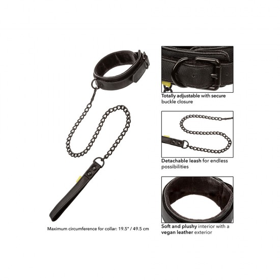Boundless Collar and Leash Boundless Collar and Leash